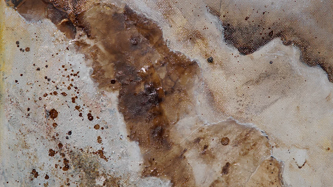 Schichtung 50x50 2025